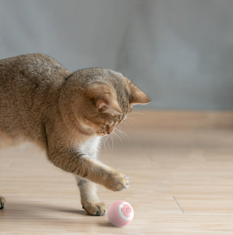 Automatic Rolling & Bouncing Smart Cat Toy Ball for Indoor Play