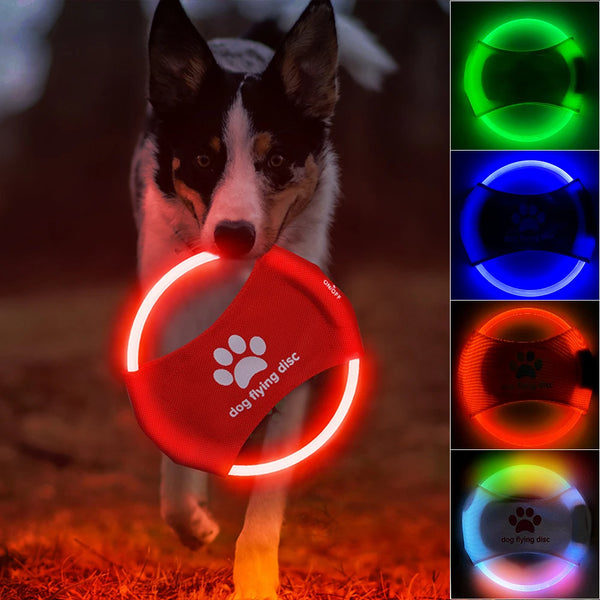 LED Light-Up Dog Flying Disc - Interactive Training Toy & Game Accessory